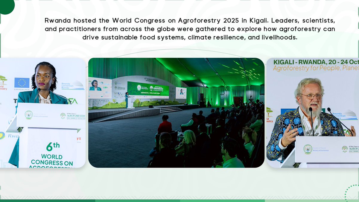 EnvironmentRw's tweet photo. Rwanda hosted the World Congress on Agroforestry 2025 in Kigali. 

Leaders, scientists, and practitioners from across the globe were gathered to explore how agroforestry can drive sustainable food systems, climate resilience, and livelihoods. #WCA2025🌳  #GreenRwanda🇷🇼🌿 https://t.co/hBVkbLCac5