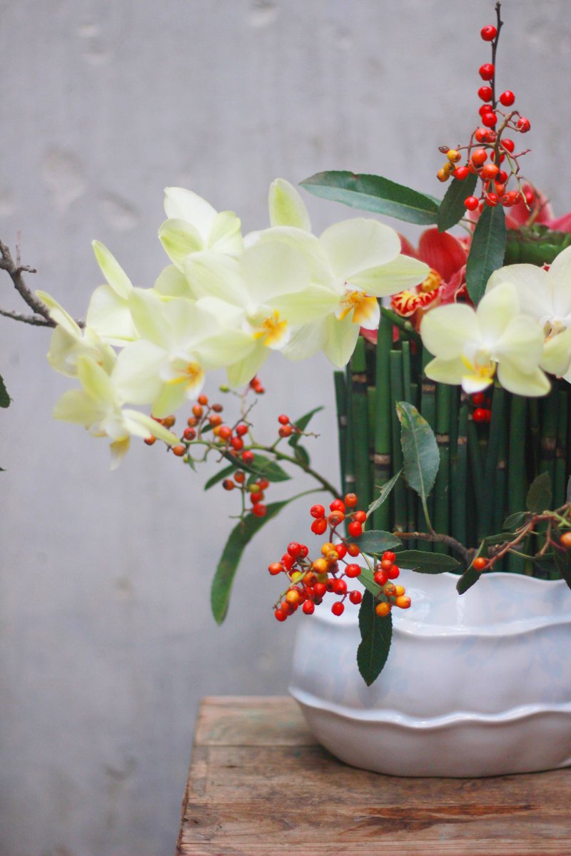 Who said Christmas flowers must follow the rules? 😏
Equisetum forest, cheerful berries, and glamorous orchids—suddenly the holidays feel brand new again. 🌟

#christmasflowers #holidaystyle #uniquechristmasdecor