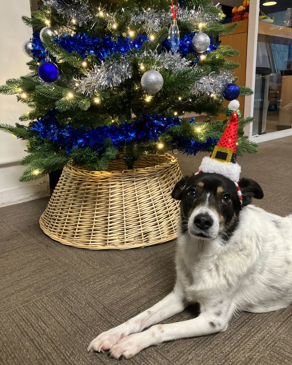 OpenRent tweet media