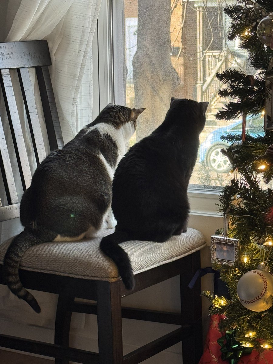 Substituted_'s tweet image. 