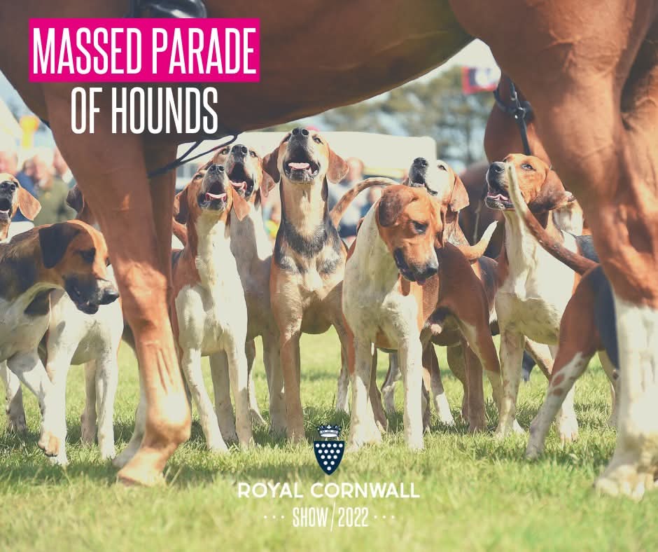 Richard Negus tweet media