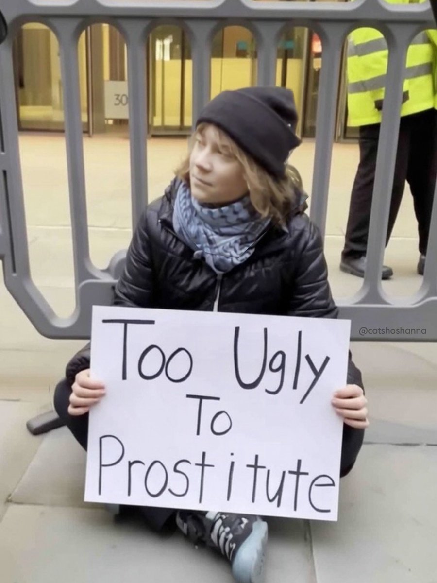 CatShoshanna's tweet image. .