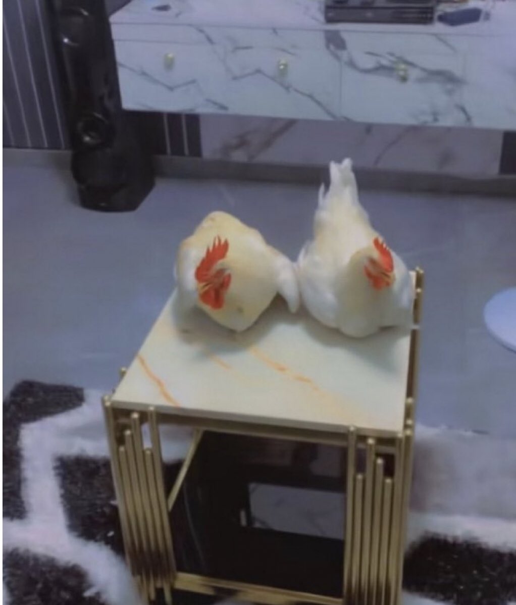 DaddyMaluri's tweet photo. Fowl 80k no suppose de backyard https://t.co/uV79QzvmVC