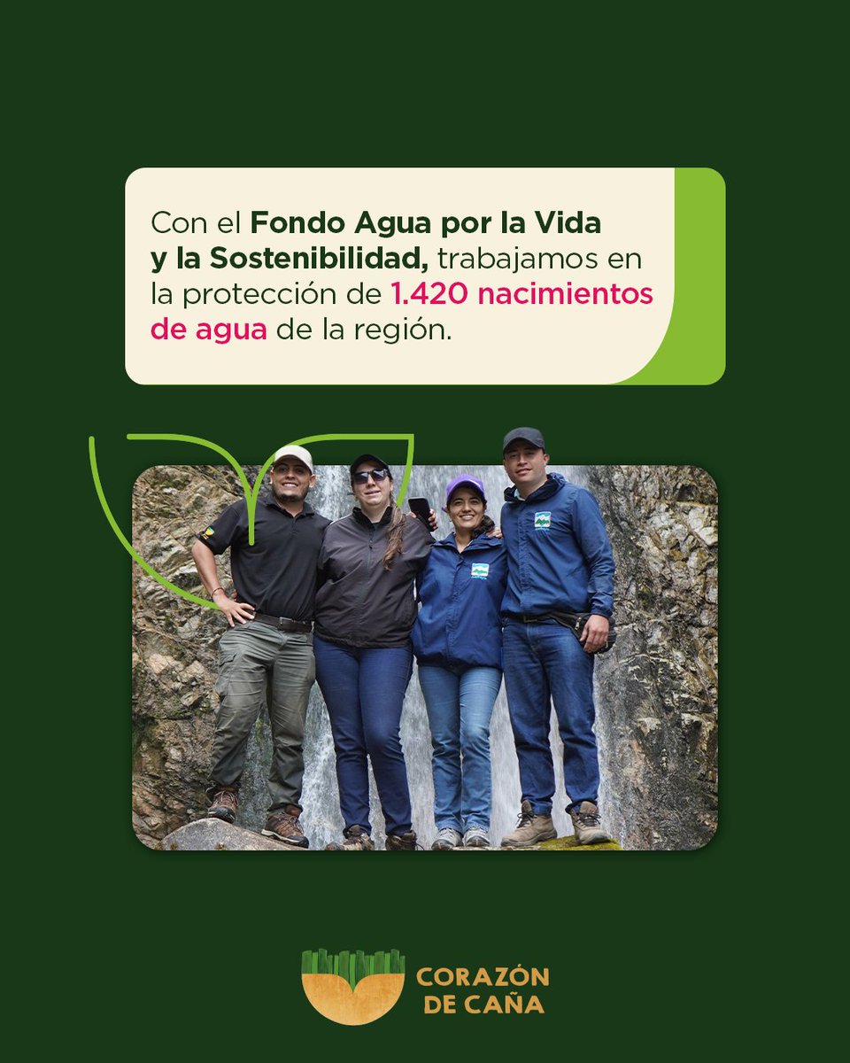 Donde brota el agua, brota la vida. 🌱 Por eso, en la agroindustria de la caña sumamos ciencia y territorio: monitoreamos cuencas hidrográficas, trabajamos en su conservación y promovemos prácticas sostenibles en nuestros procesos💧.