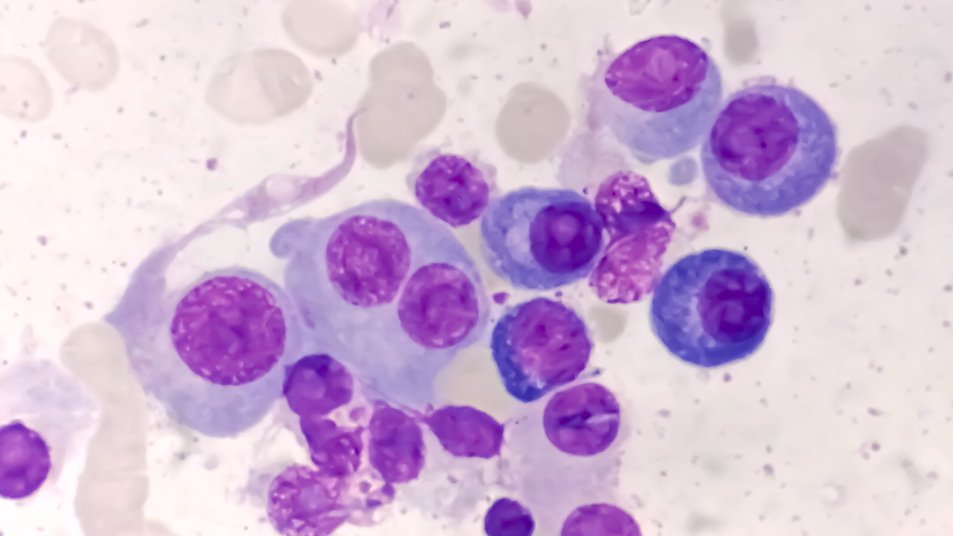 Penn Medicine CSO tweet media