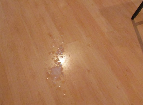 16squirtsofcum tweet media