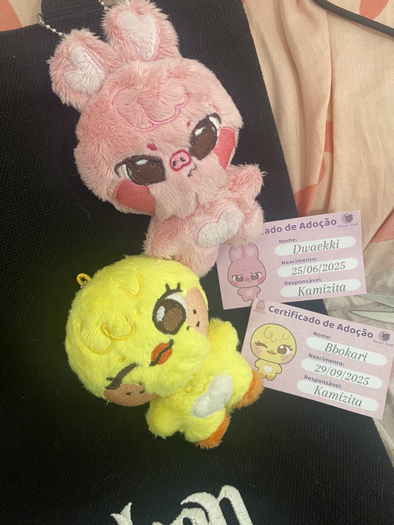 aeikllm's tweet photo. feedback positivíssimo pra @moondollstore que me enviou muito bem embalado essas fofuras dos meus primeiros skzoos da vidaaa, através da linda @kissabin, que me presenteou pelo meu aniversário. muito obrigadaaa, gata miaa. eu te amo demaisss 🫶🏼 https://t.co/LIlClhfKE7
