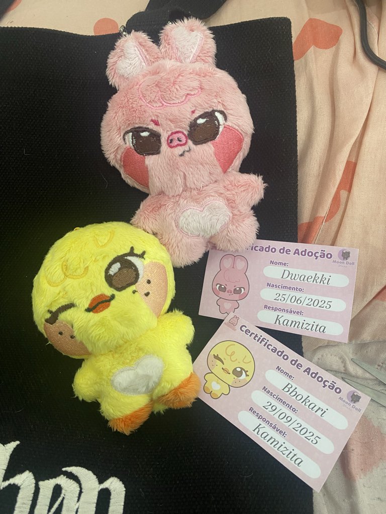 aeikllm's tweet photo. feedback positivíssimo pra @moondollstore que me enviou muito bem embalado essas fofuras dos meus primeiros skzoos da vidaaa, através da linda @kissabin, que me presenteou pelo meu aniversário. muito obrigadaaa, gata miaa. eu te amo demaisss 🫶🏼 https://t.co/LIlClhfKE7