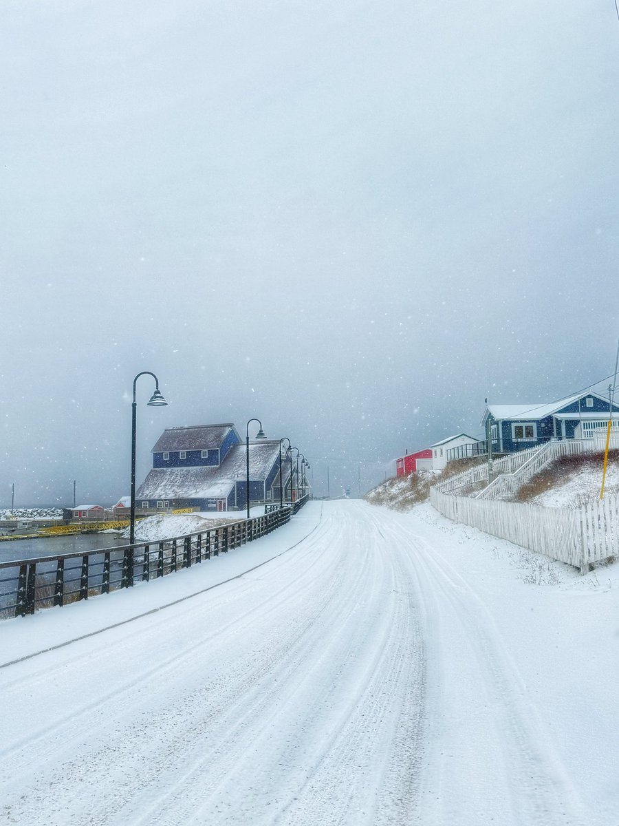 GrayMarker99's tweet image. It’s a snowy morning but it certainly adds to the season. ❄️❄️🎄🎅🏻