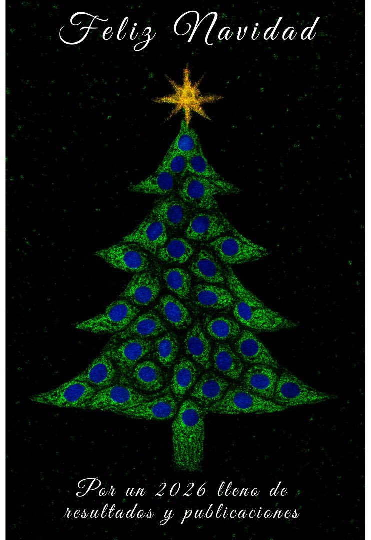 Mitoxi Lab tweet media