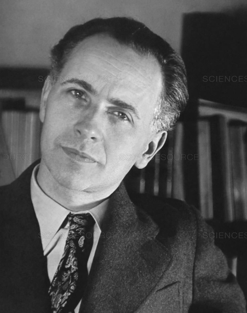 DanniSr8's tweet image. 🌿Ô mon jardin d’eau fraîche et d’ombre
      Ma danse d’être mon cœur sombre
      Mon ciel des étoiles sans nombre
      Ma barque au loin douce à ramer
      Heureux celui qui meurt d’aimer

Louis Aragon / Le Fou d’Elsa - Epilogue