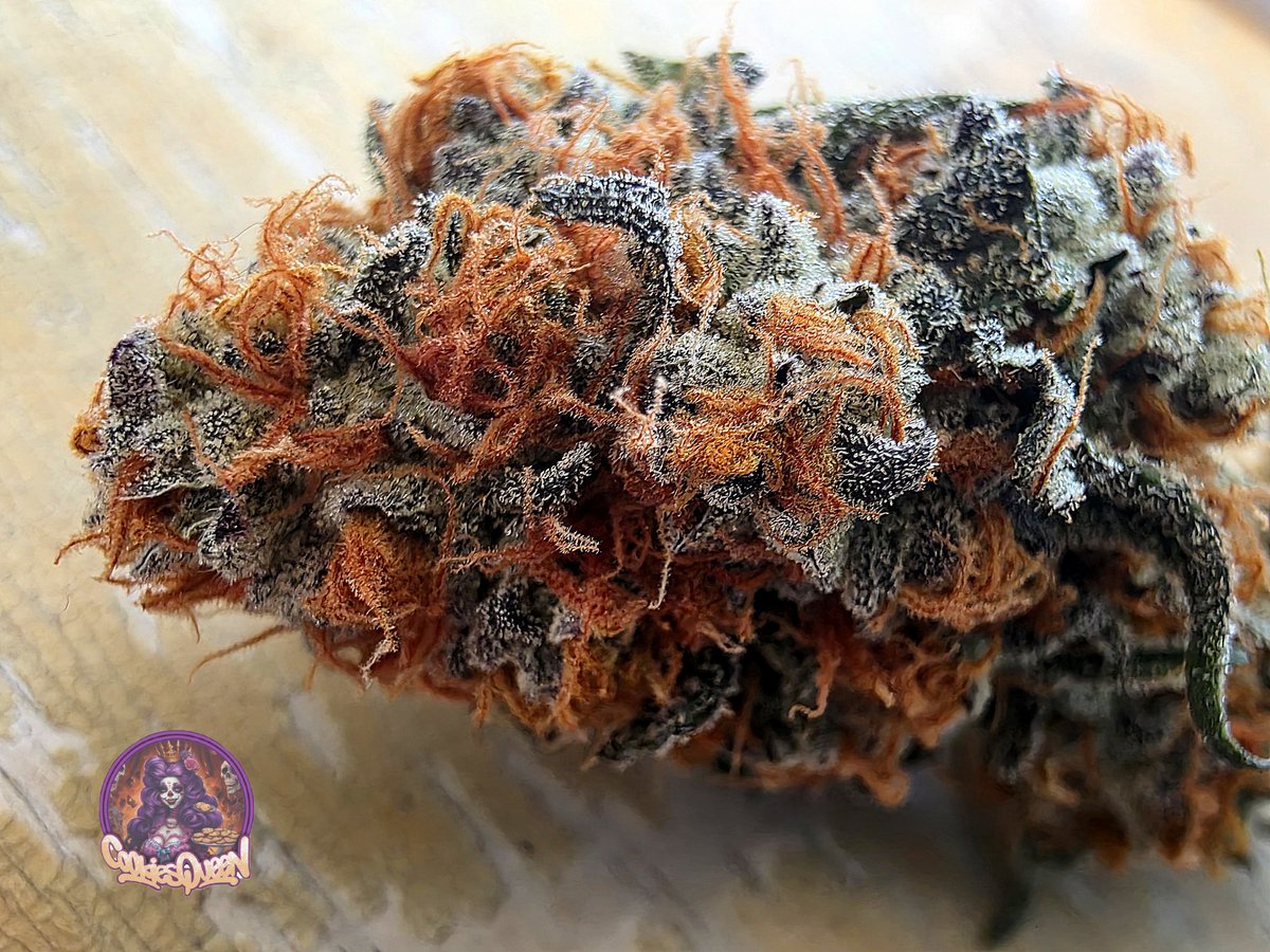 Cadillac Rainbows to brighten your day! Happy Holidays! #CannabisCommunity  #cannabisculture #StonerFam #Mmemberville