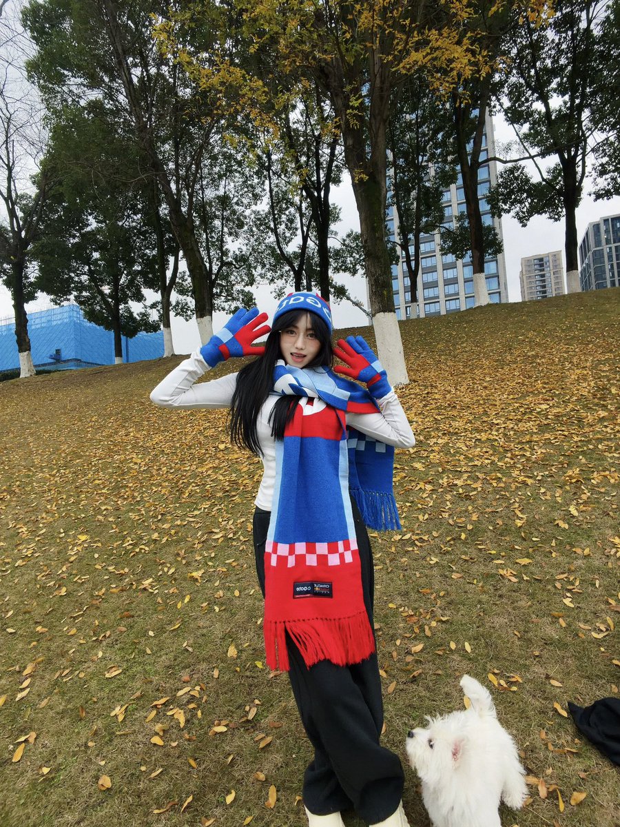 金笑笑 tweet media