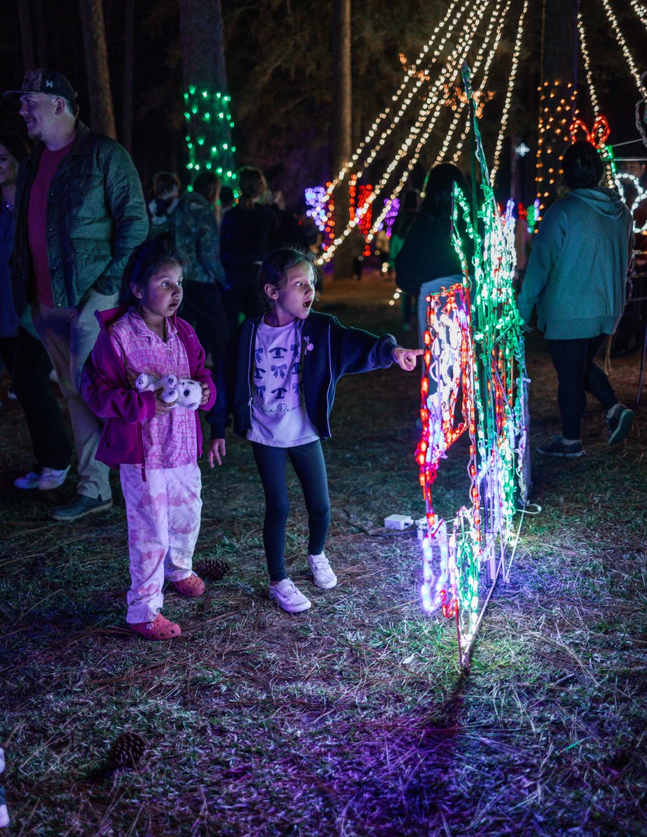 Bundle up and bring the whole family to drive or walk through Fulwood Park and take in all the beautiful lights! From sparkling displays to festive favorites around every turn, it’s the perfect way to slow down, make memories, and soak up the magic of the season. 🤩

#thinktifton