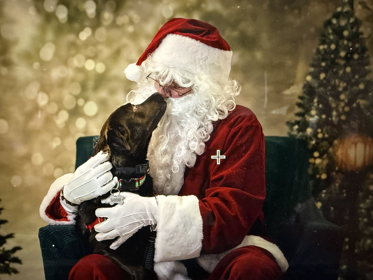 LolaPatolla's tweet image. Sabrina…From the euthanasia list to Santa’s lap in 7 months 🥰!!!
All her Christmas wishes came true!!!