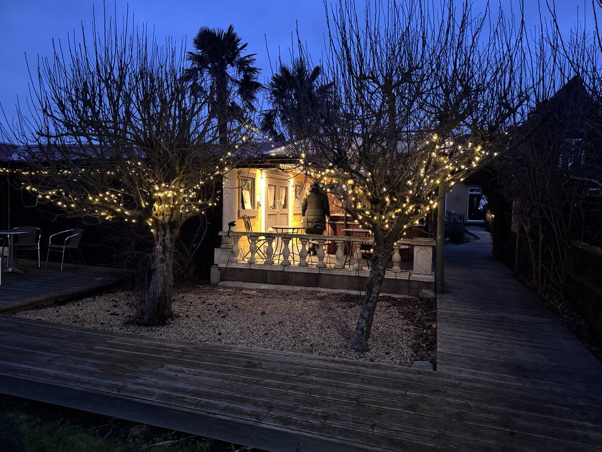 Dragonfly29 tweet media