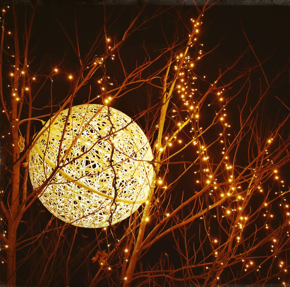 C'est la seule chose qui me plait à Noël... Ces lumières chaleureuses...
#Photo #Christmas #ChristmasLignts