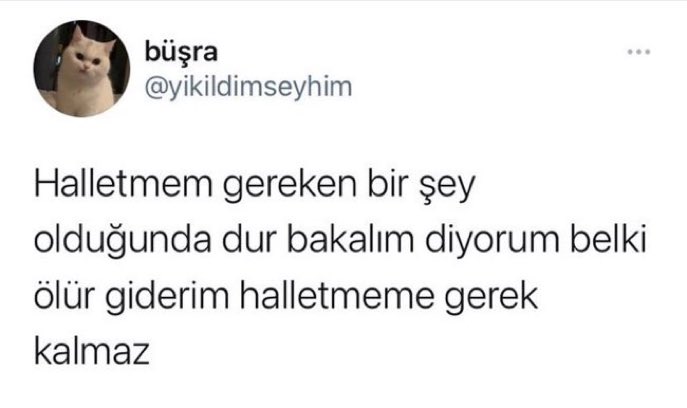 MOOD (@w3mood) on Twitter photo 