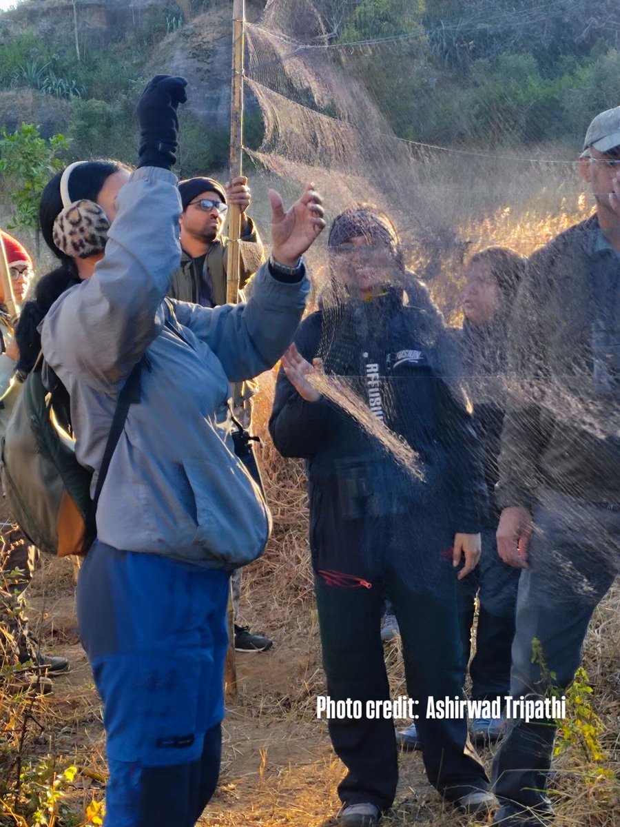 TIFR - NCBS Field Station tweet media