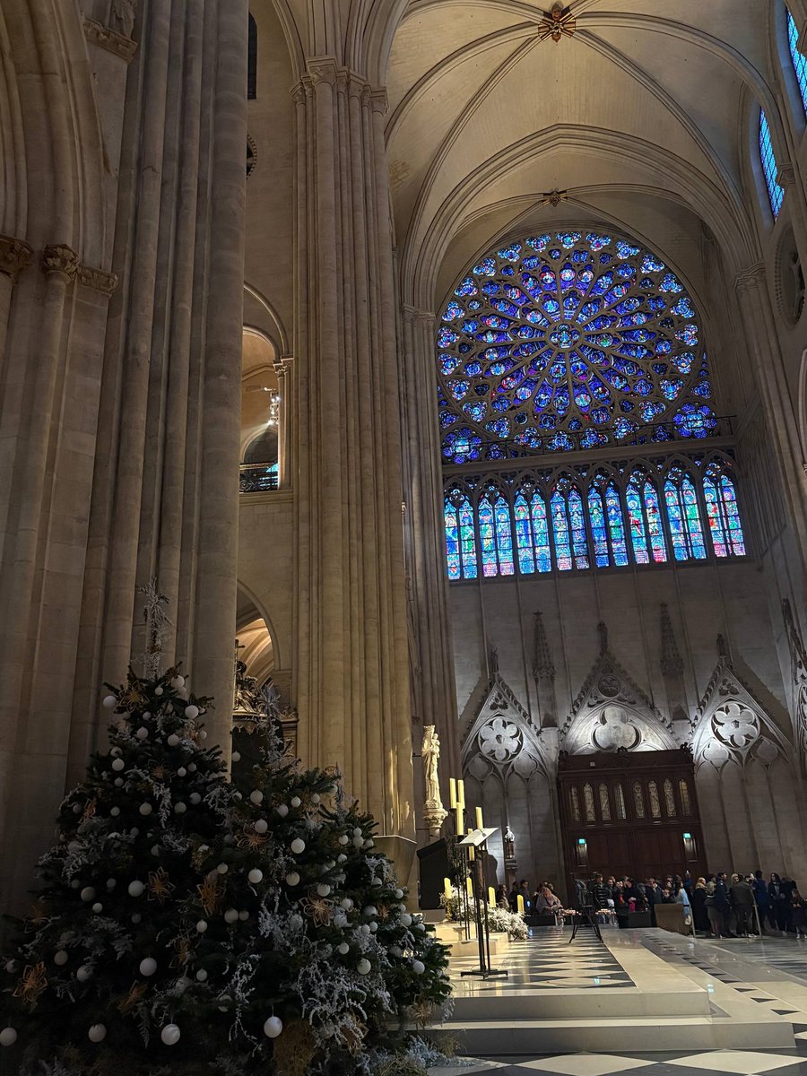 maxbonnar's tweet photo. Paris. France. December 2025 1/2 https://t.co/Ne2Umz5Ez7