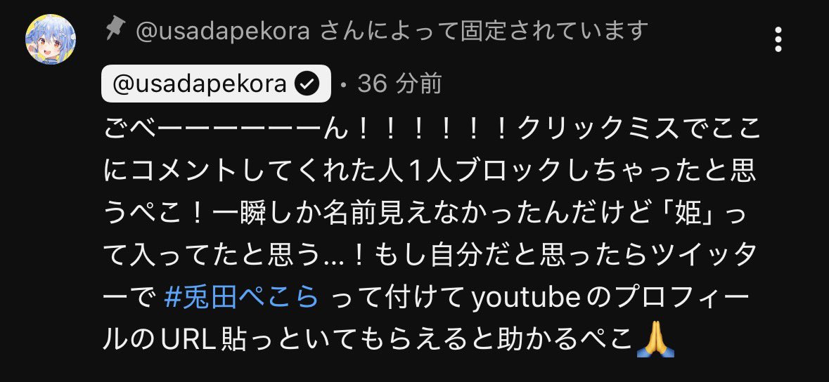 遂にブロックされた。 l_ts1648348_202411051_0_w490.jpg