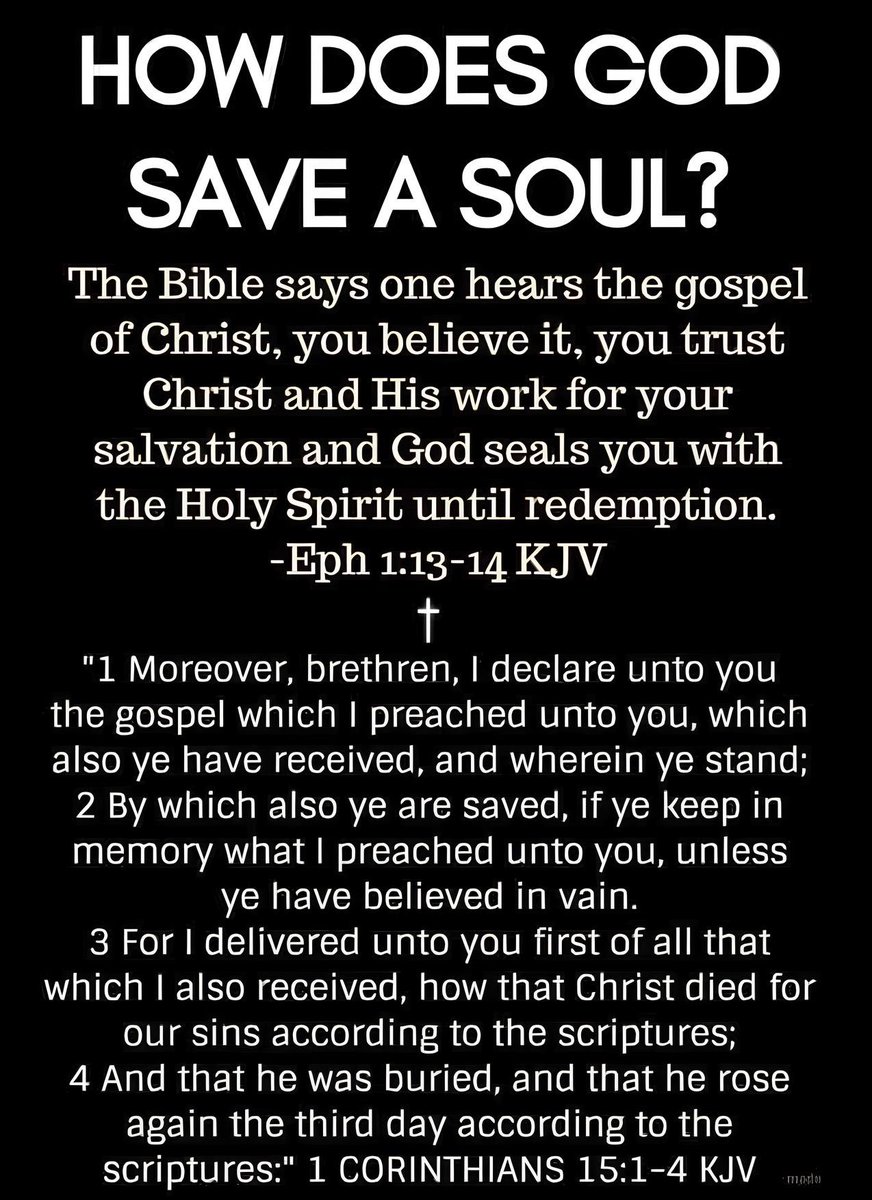HisBloodSaves's tweet image. By His grace through my faith in the Gospel of Christ alone. JESUS did all the work. The moment I trusted in what He did for me on the cross I received the free gift of eternal life and was sealed with the Holy Spirit of Promise.