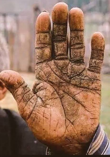 Emeğin ucuz, ekmeğin pahalı olduğu dönem.  Ayıptır, yazıktır, günahtır..
#asgariücret #asgariücret