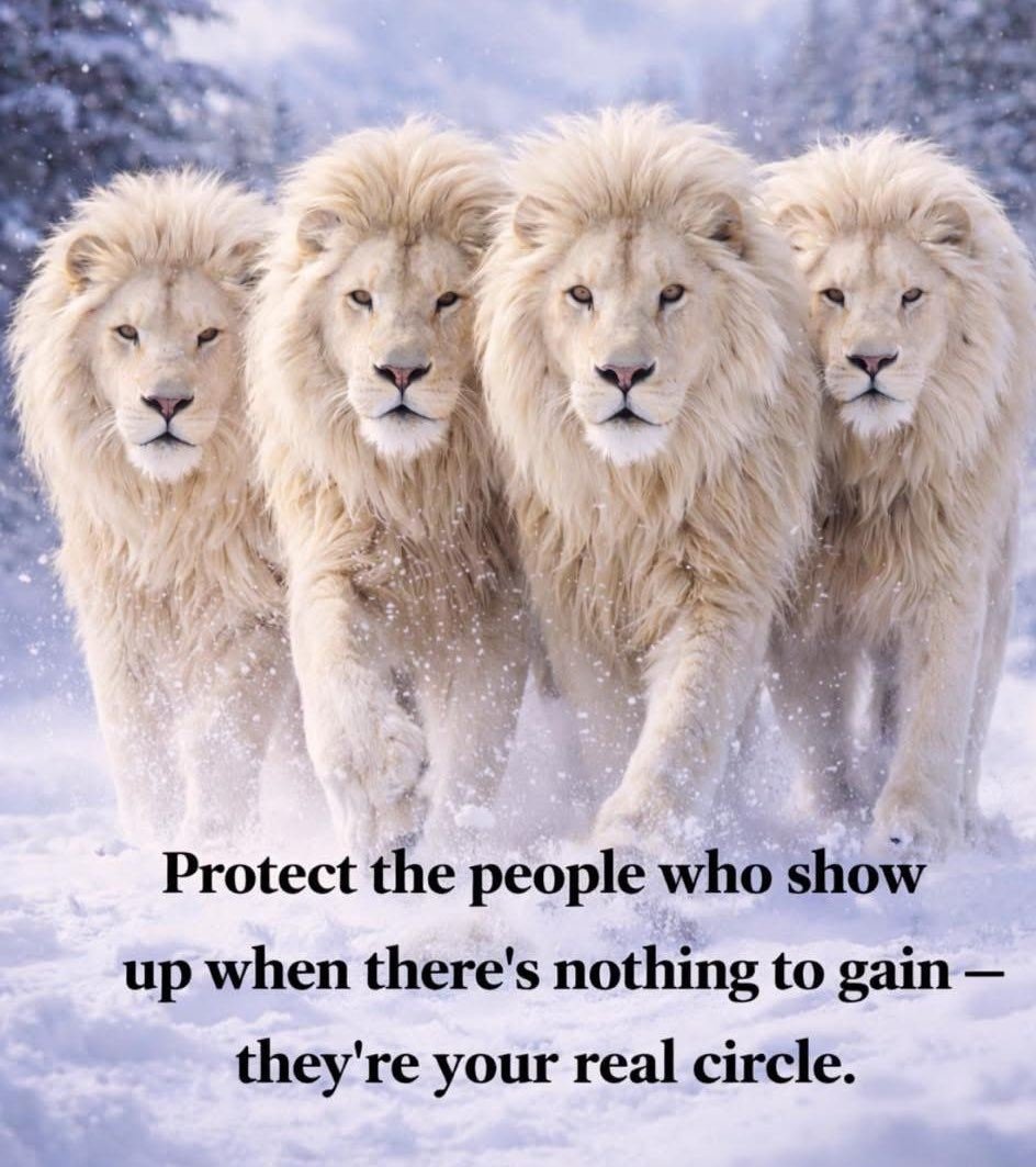 helpangela_com's tweet image. This is true.  ♥️

The people who show up are "your people."