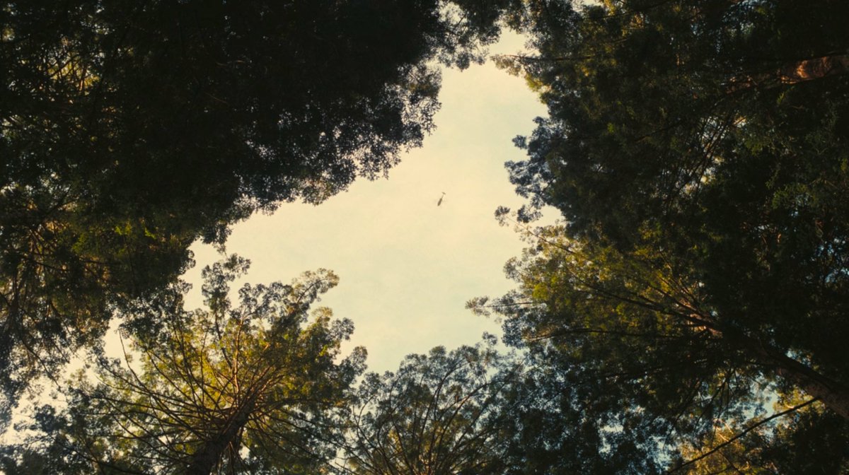 The Film Stage 📽 tweet media