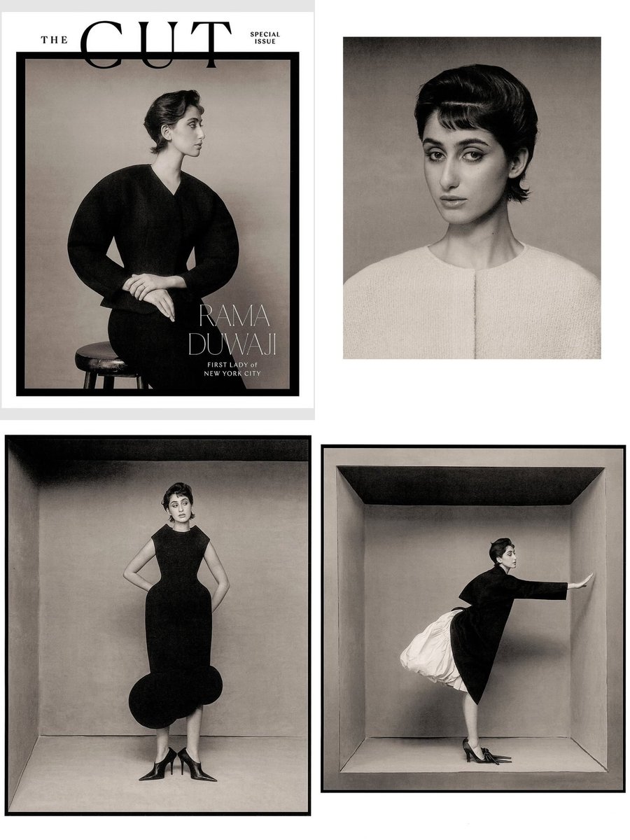 Rama Duwaji, wife of Zohran Mamdani, graces the cover of The Cut:

“First Lady of New York City”