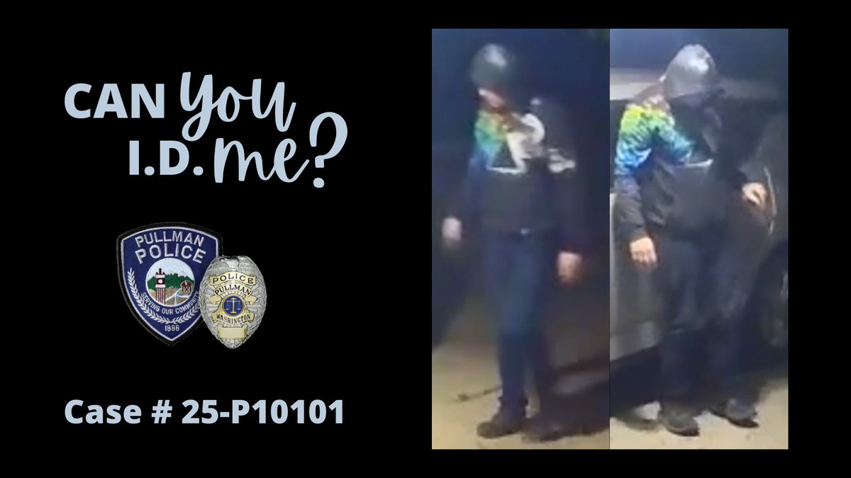 Can You I.D. Me?

Officers need your help to identify this subject, caught on surveillance prowling vehicles in the area of SE Ridgeview Court last week. 

Please contact Officer Talib with tips or information: (509) 334-0802
Case # 25-P10101

#ItTakesAVillage #CanYouIDMe