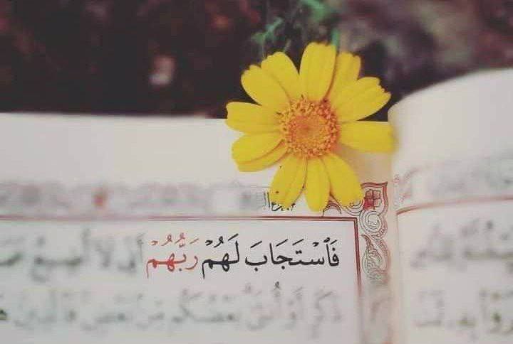 ♡̅α̅и̅f̅α̅s ̅α̅ℓ̅н̅и̅ɪ̅и tweet media