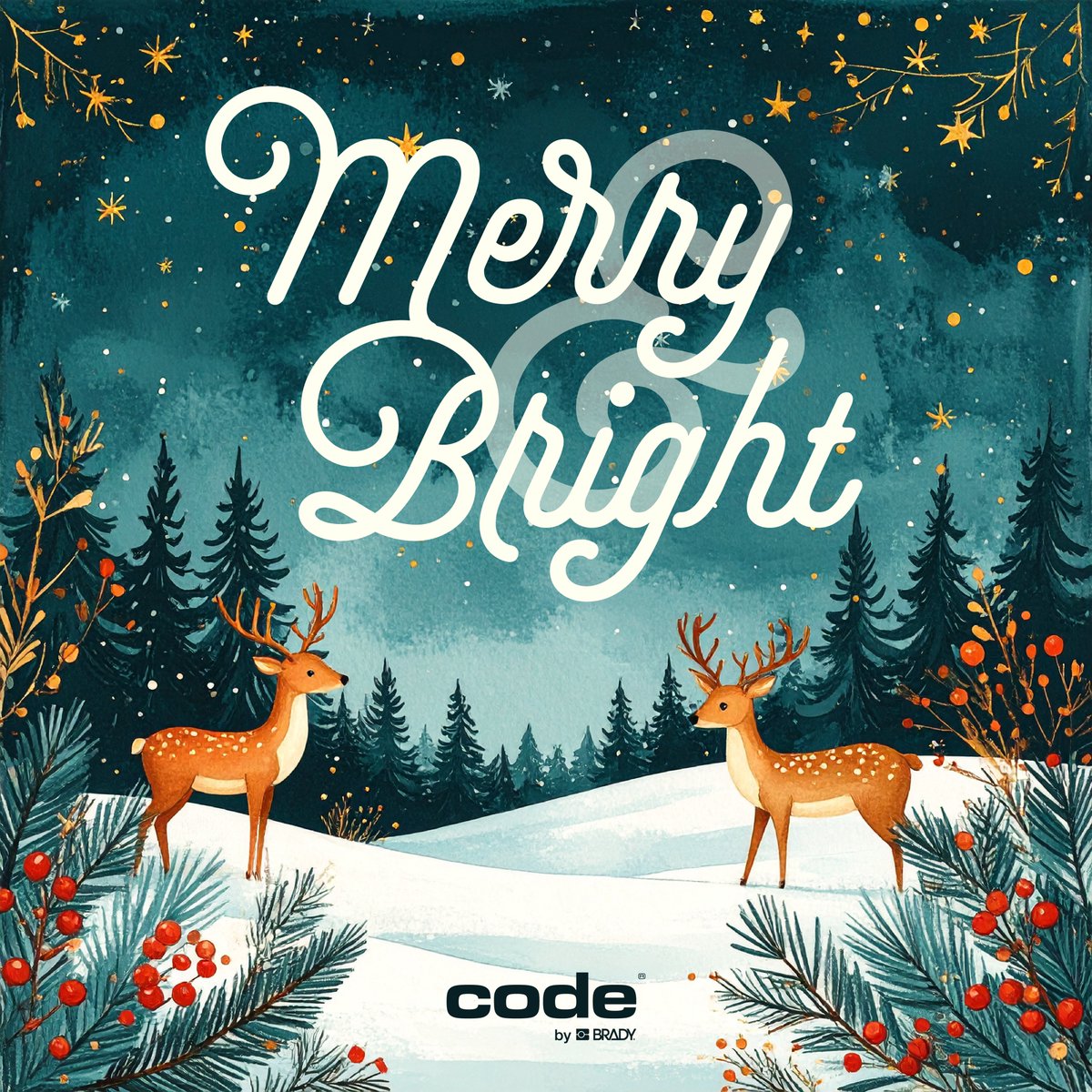 Code by Brady tweet media