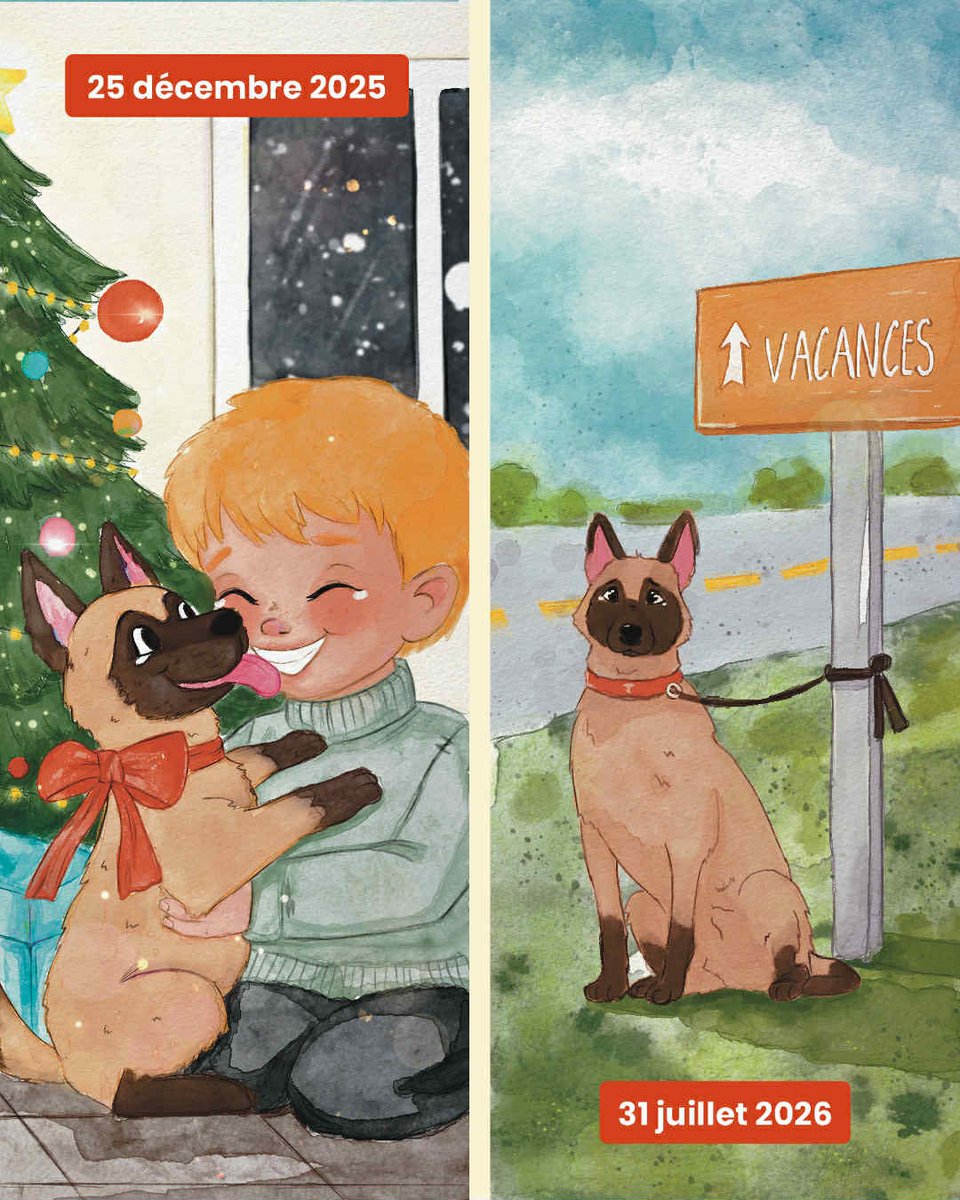 LigueDesAnimaux's tweet image. Noël approche 🎄
C’est l’occasion de rappeler qu’un animal n’est pas :

– un objet
– un jouet
– une peluche

Un animal, ça s’assume.
Un animal, ça se respecte.
Un animal n’est pas un cadeau de Noël.

N’offrez pas un chien si c’est pour l’abandonner plus tard.