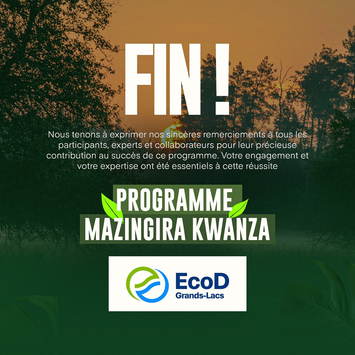 Nous souhaitons exprimer notre profonde gratitude à tous les participants, experts et collaborateurs qui ont contribué au succès du programme Mazingira Kwanza. Votre engagement et votre expertise ont été des piliers essentiels de cette réussite collective.