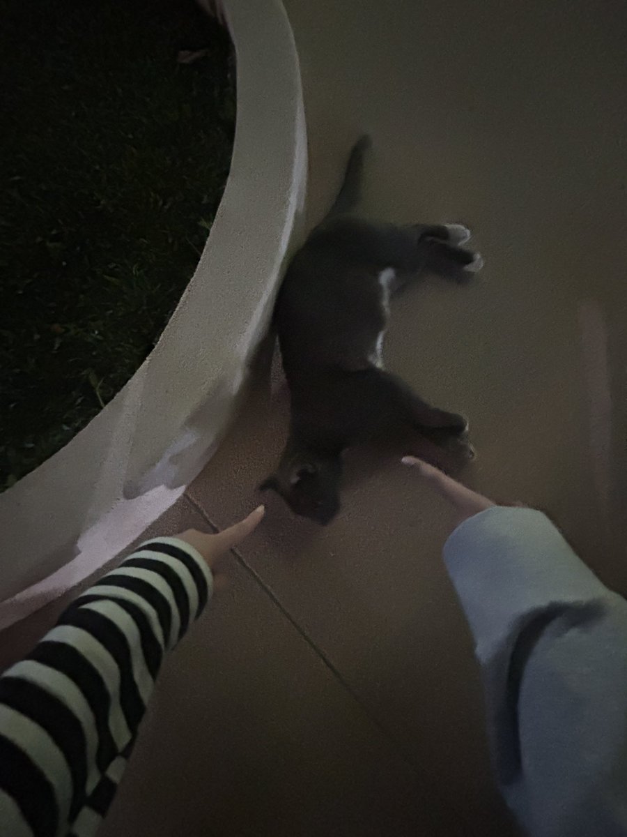 wentercandy's tweet image. 