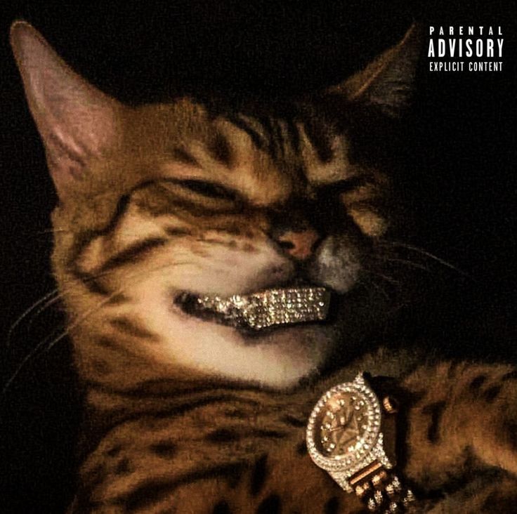 RealLars2K's tweet image. I'm back lft 

available 7/7
entry/flex
🇬🇧🇩🇪🇳🇱