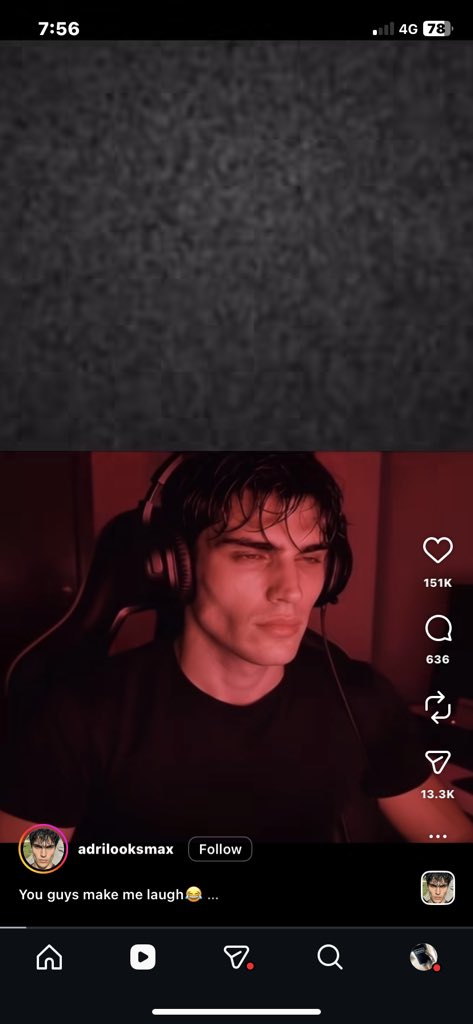 Fly away(ثعلب) tweet media