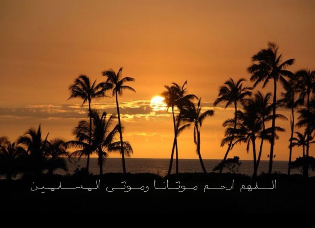 لـ حماد المخلّفي. tweet media