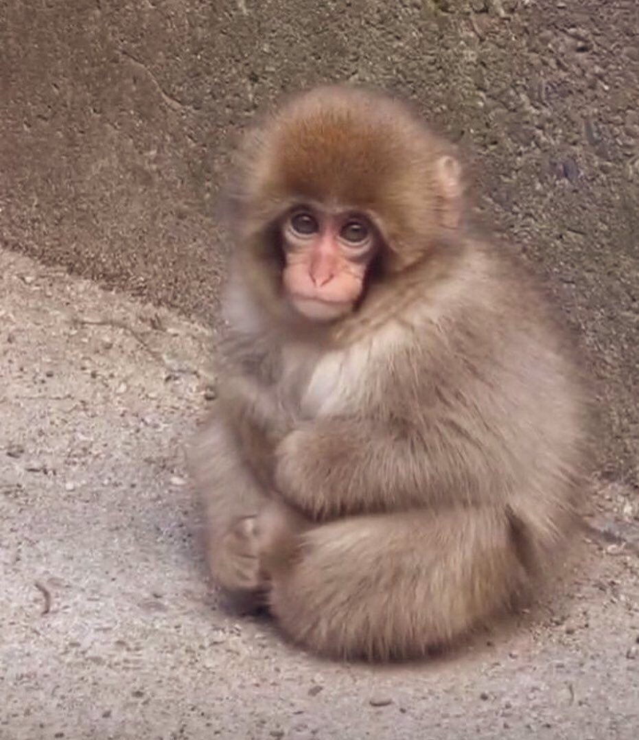 miwwmiu's tweet image. I’m very nervous for what’s to come