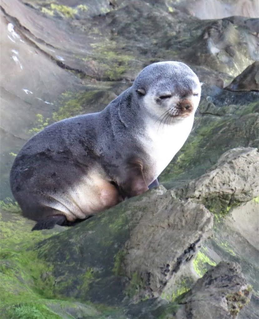 b1tesnails's tweet image. i’m not cut out for anything