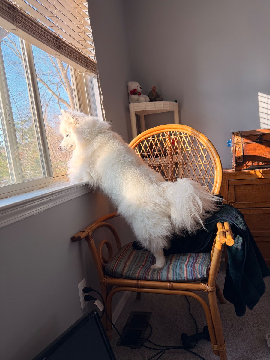 Taking turns in the window chair