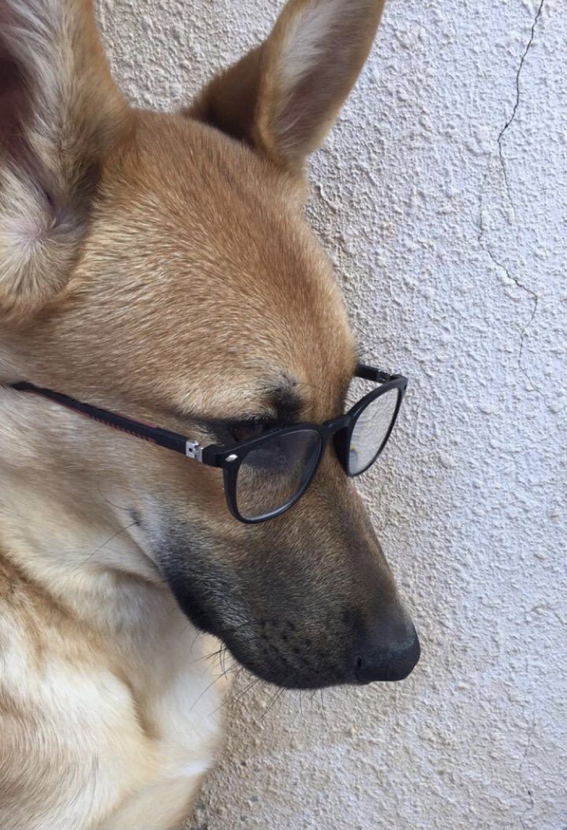 Monster 𒉭 tweet media