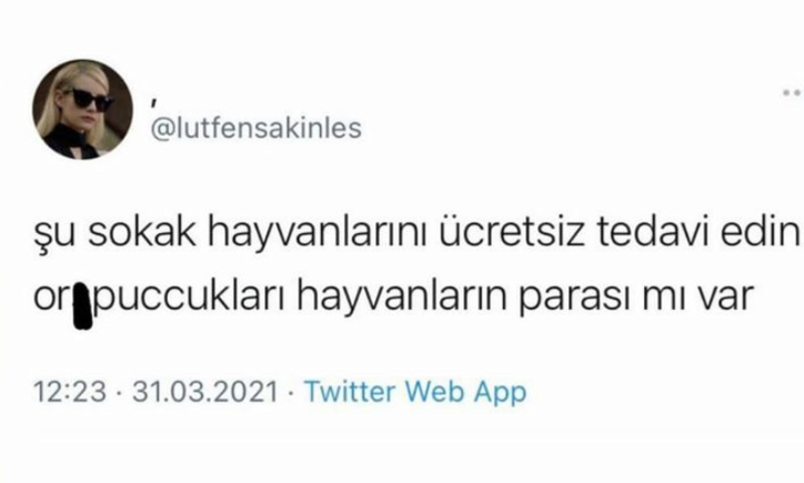 İT KÖPEK A.Ş. (@itkopekas_) on Twitter photo 