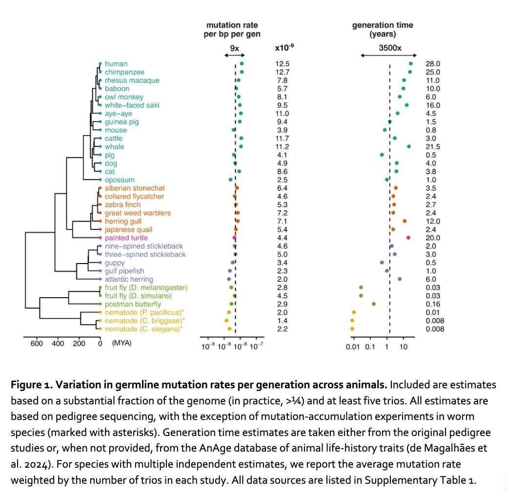 Stephen Turner 🦋 @stephenturner.us tweet media