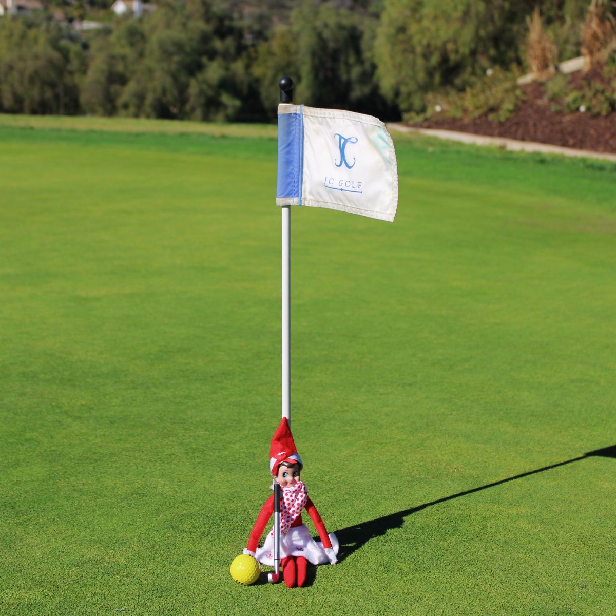 JC Golf tweet media