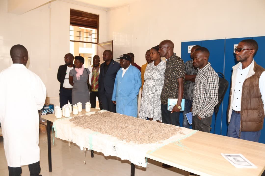 MinTFPSS_bdi's tweet photo. #Burundi: Dans la continuitĂ© de la Semaine de lâEntrepreneuriat, le @MinTFPSS_bdi, Ă travers la #DGRPETD et lâ#OBEM, a effectuĂ© une visite ce mardi 23 dĂ©cembre 2025 au Centre de formation de Rusi, situĂ© en province de @Gitega.
@MENRS4 @BurundiGov https://t.co/4YDyNLDaXq