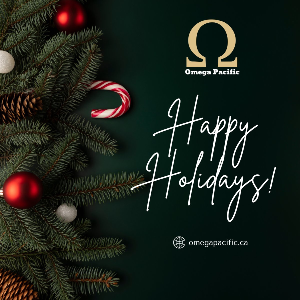 Omega Pacific Resources tweet media