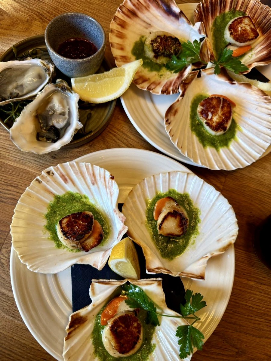 The Scallop Shell tweet media