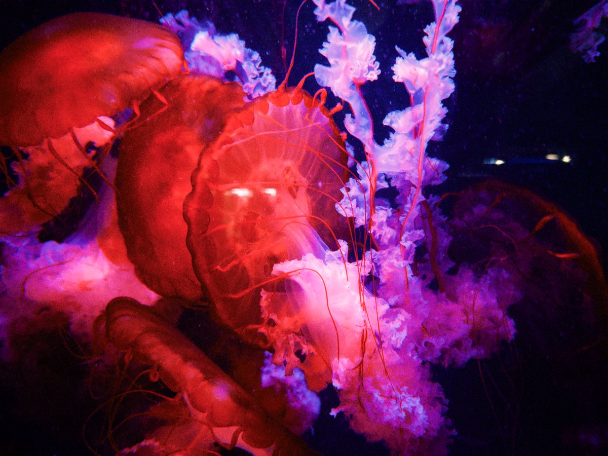 un1i5's tweet image. 